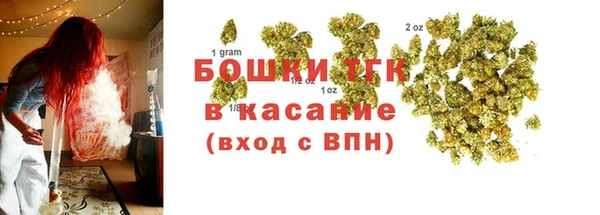 дживик Снежинск